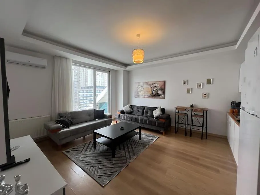 Cozy Homes 2 Room Apartment Well Designed Istambul
